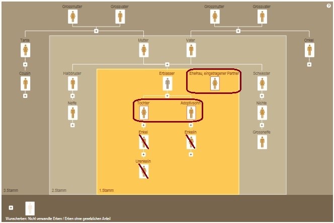 Erbquoten Grundregel Generation